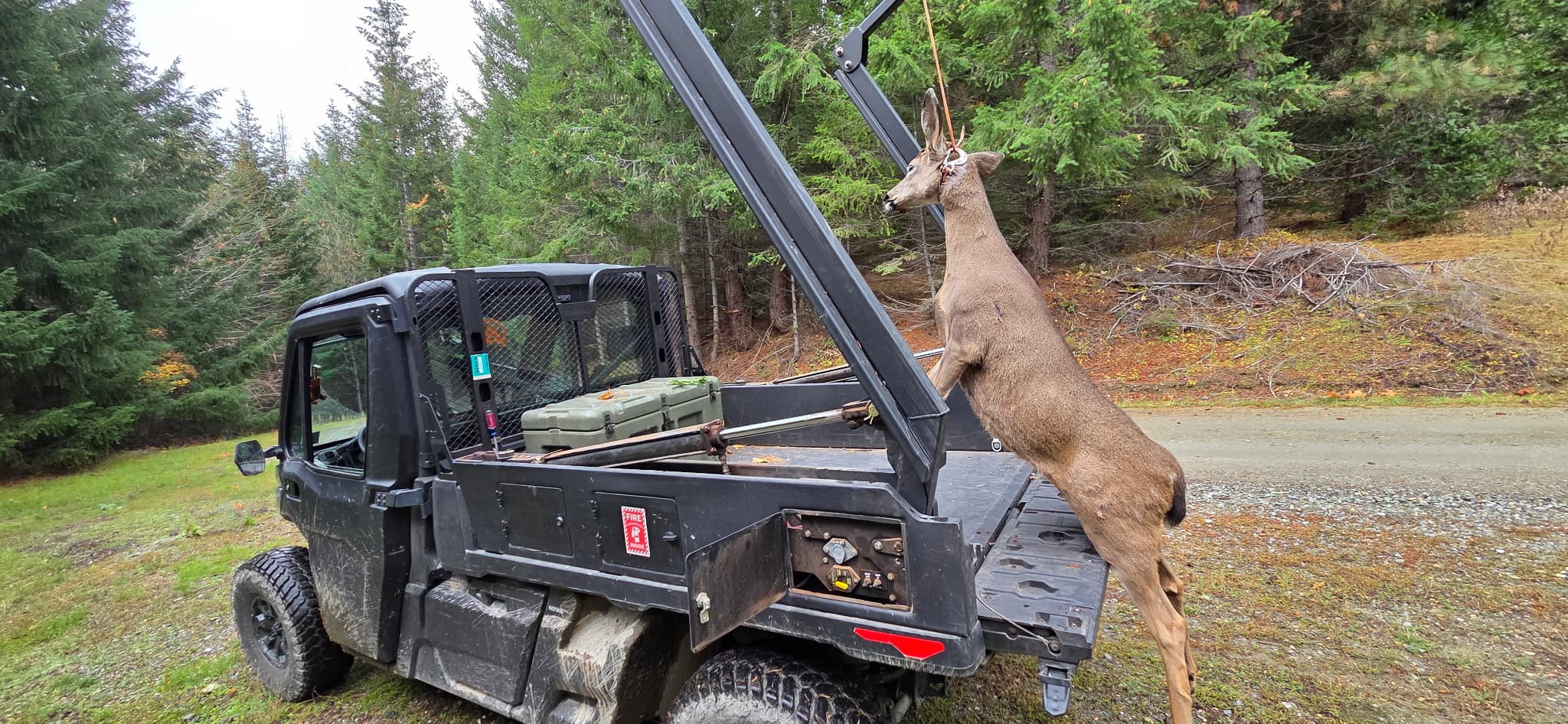 Jed Morgan gallery image